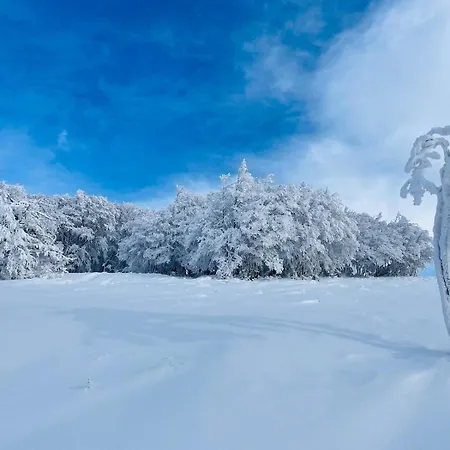 L'escapade Vosgienne * Cornimont