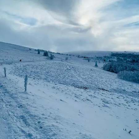 L'escapade Vosgienne *