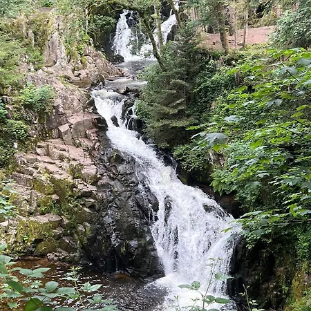 Appartement L'escapade Vosgienne *