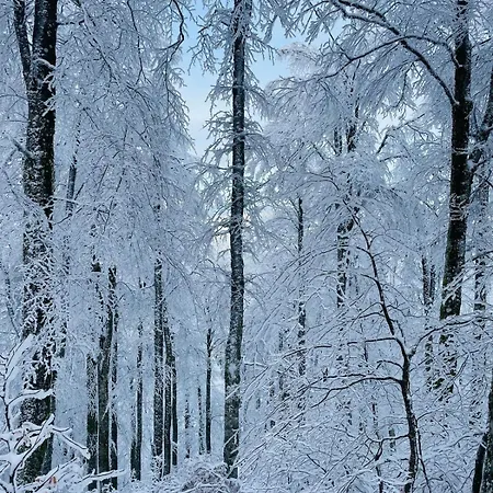 L'escapade Vosgienne *