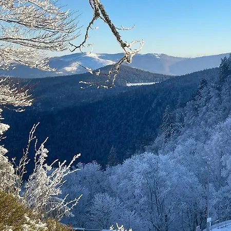 L'escapade Vosgienne Cornimont