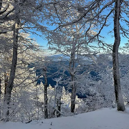 L'escapade Vosgienne