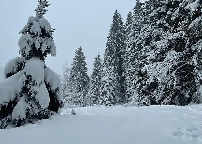 L'escapade Vosgienne Корнимон