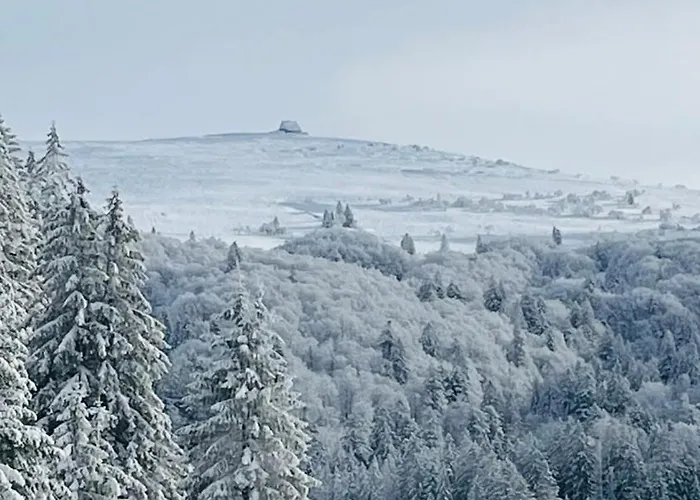 L'escapade Vosgienne Апартаменты