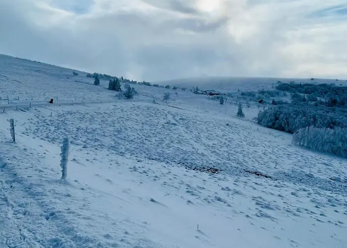 L'escapade Vosgienne *