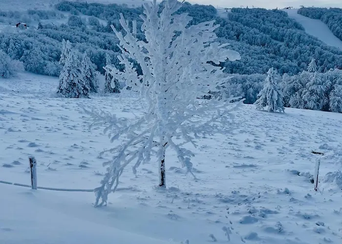 L'escapade Vosgienne