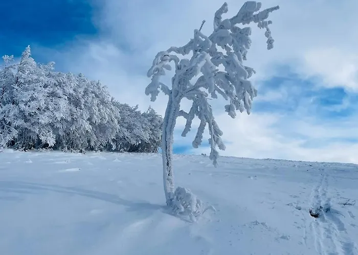 Апартаменты L'escapade Vosgienne Корнимон