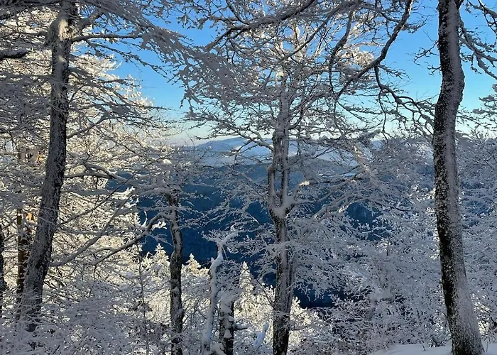 L'escapade Vosgienne